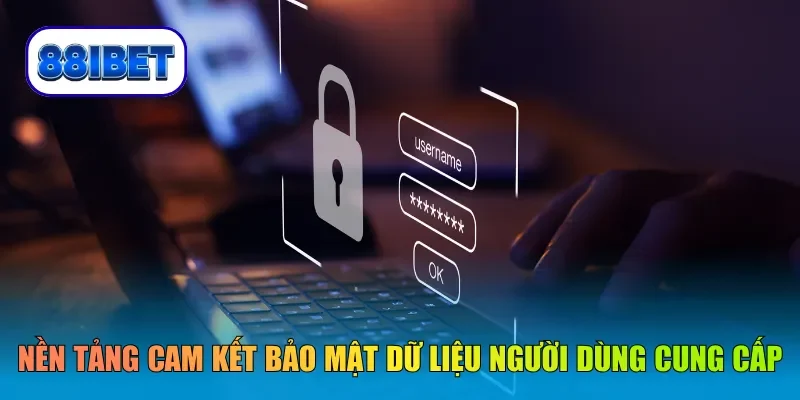 Nền tảng cam kết bảo mật mọi dữ liệu người dùng cung cấp